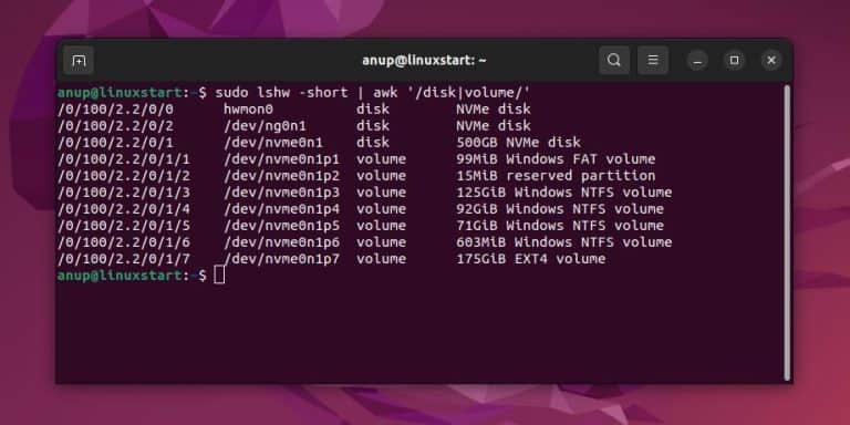 list disks ubuntu