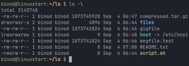 ls Command in Linux: Your Comprehensive Guide