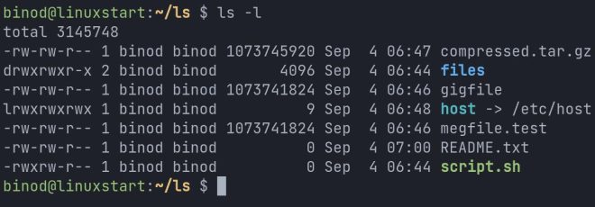 ls Command in Linux: Your Comprehensive Guide