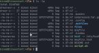 ls Command in Linux: Your Comprehensive Guide - Linux Start